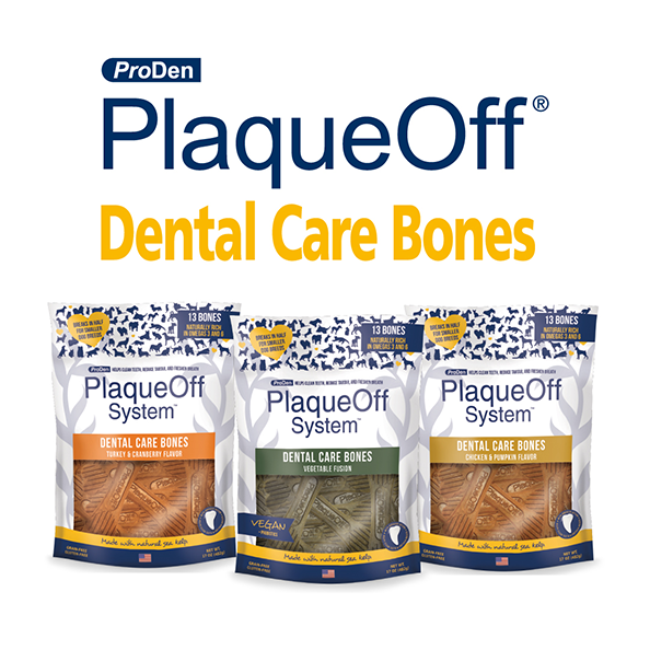 Dental Care Bones ||